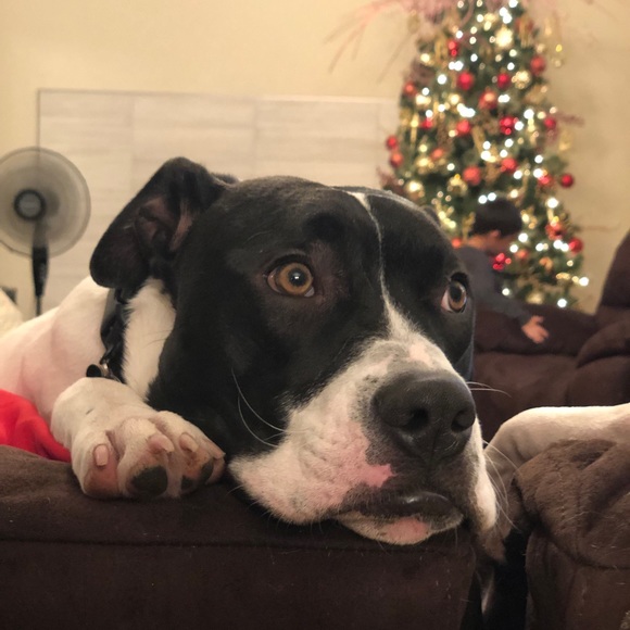 25% off 2 or more bundles — Welcome to my closet! - Picture 8 of 8